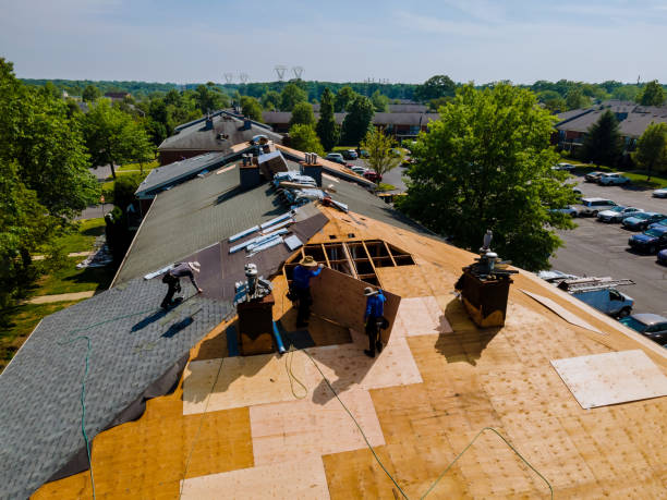 Trusted Emergency Roof Repair service in New Orleans, LA - Brentwood Metal Roofing